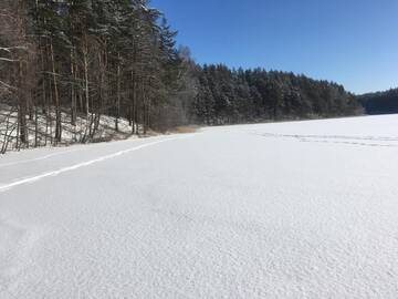 Фото номера Вилла с 1 спальней Виллы Vila Migla г. Pašekščiai 119